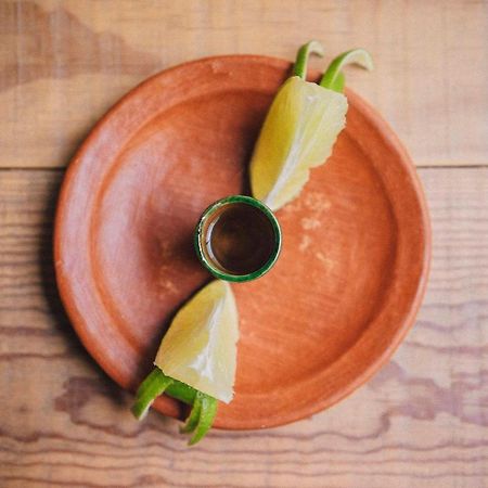 Casa Carmen Reforma Hotel Oaxaca Екстериор снимка