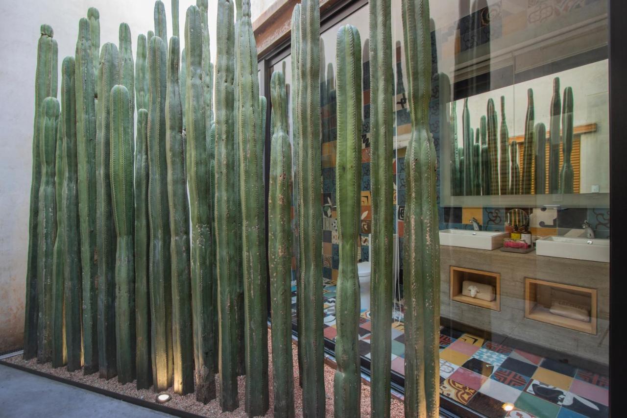 Casa Carmen Reforma Hotel Oaxaca Екстериор снимка
