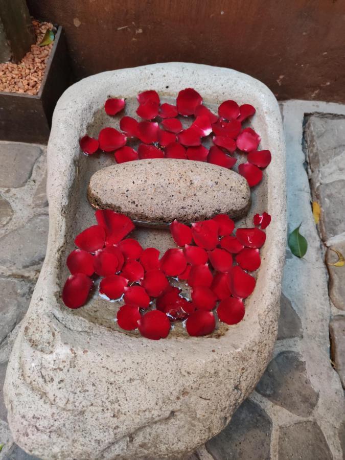 Casa Carmen Reforma Hotel Oaxaca Екстериор снимка