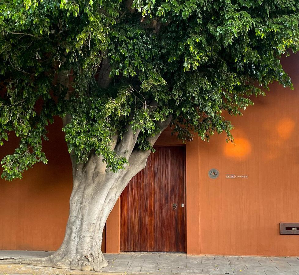 Casa Carmen Reforma Hotel Oaxaca Екстериор снимка