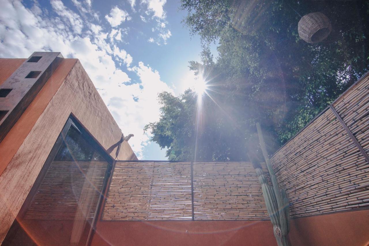 Casa Carmen Reforma Hotel Oaxaca Екстериор снимка