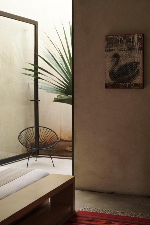 Casa Carmen Reforma Hotel Oaxaca Екстериор снимка