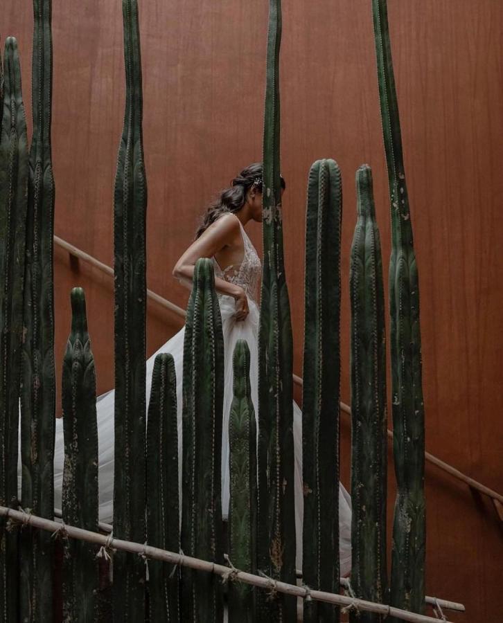Casa Carmen Reforma Hotel Oaxaca Екстериор снимка