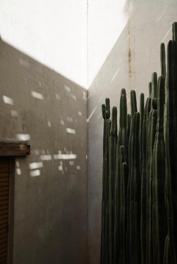 Casa Carmen Reforma Hotel Oaxaca Екстериор снимка