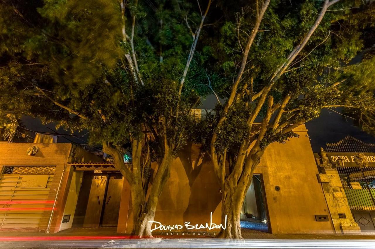 Casa Carmen Reforma Hotel Oaxaca Екстериор снимка