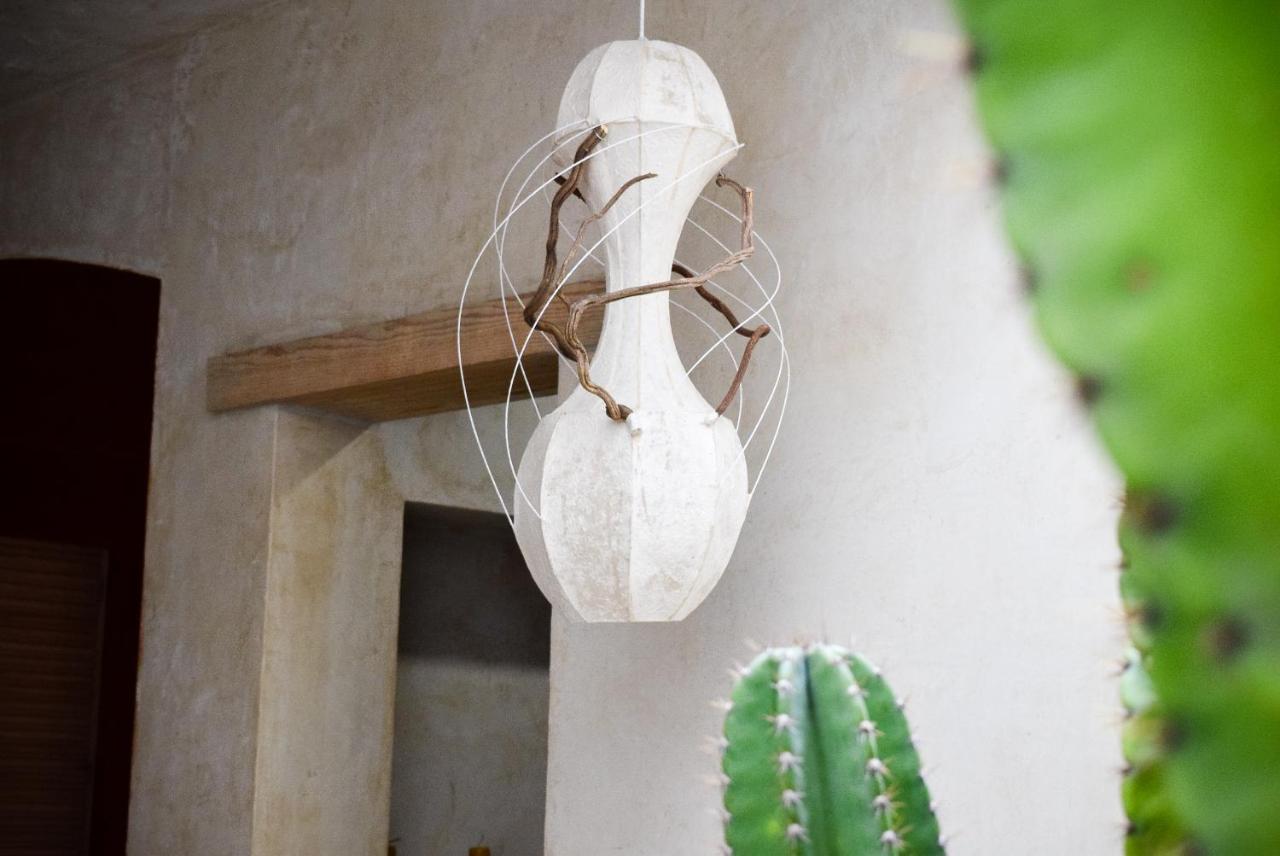 Casa Carmen Reforma Hotel Oaxaca Екстериор снимка